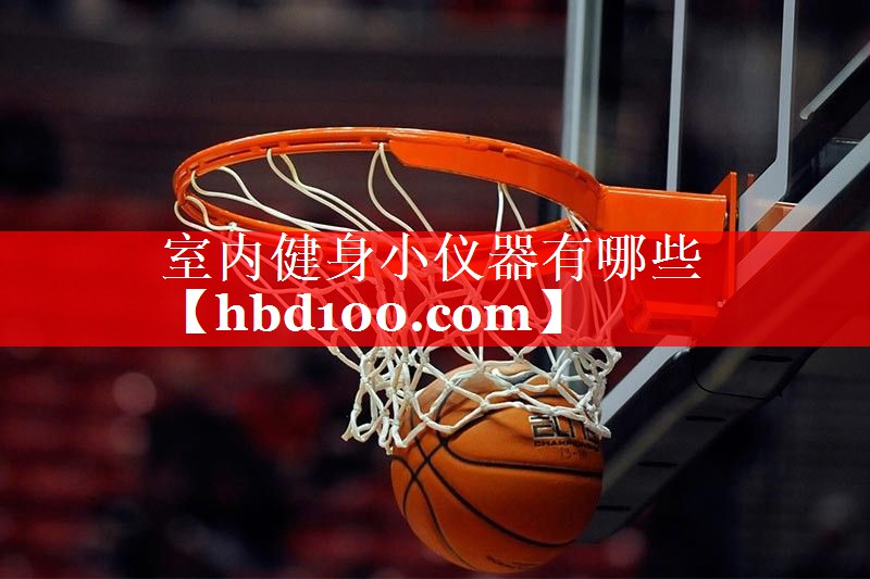 室内健身小仪器有哪些 室内健身小仪器有哪些